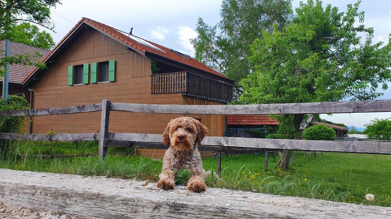 Guesthouse La Moliere, 3 Bedrooms, Private House, Horse Farm, Full Nature Murist Ngoại thất bức ảnh