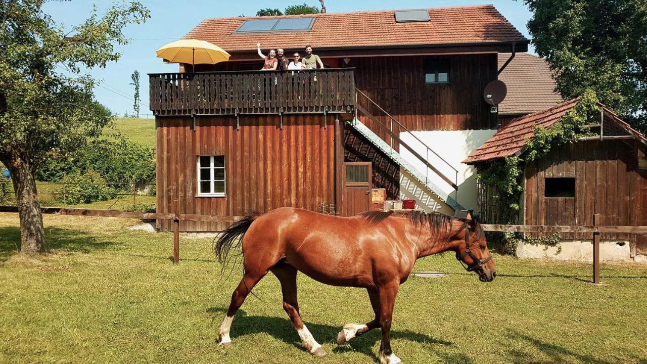 Guesthouse La Moliere, 3 Bedrooms, Private House, Horse Farm, Full Nature Murist Ngoại thất bức ảnh